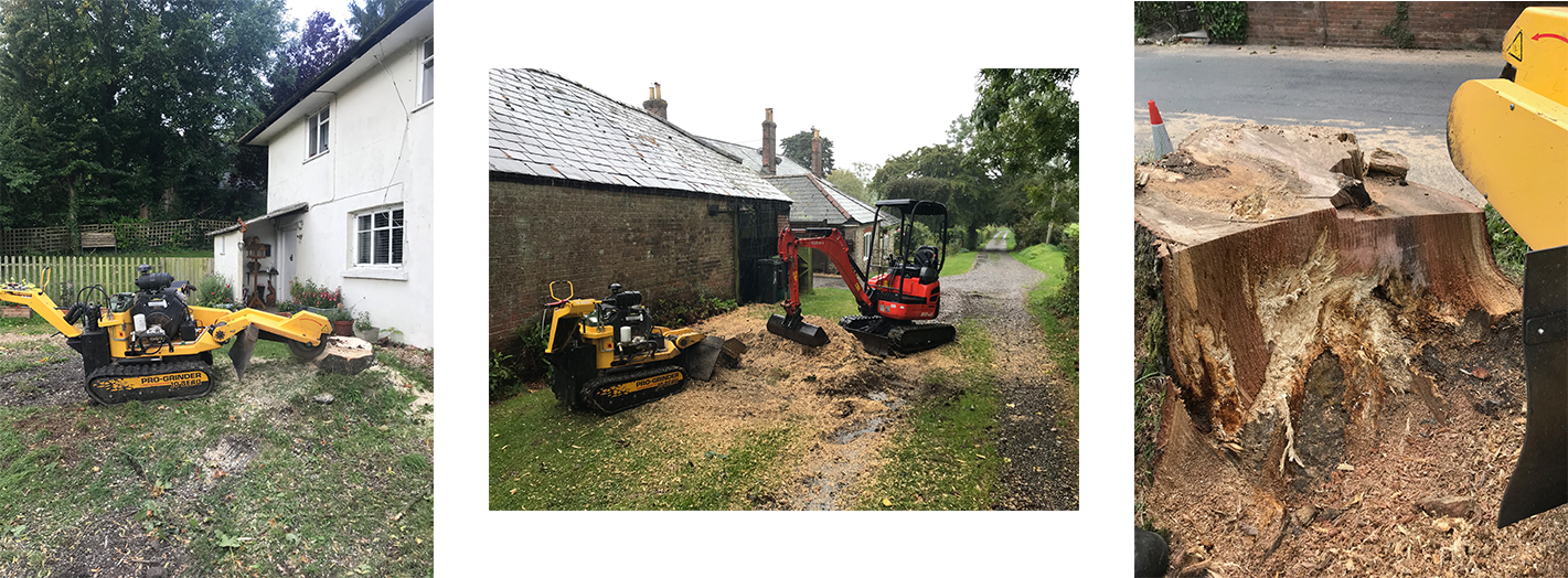 Stump Grinding Main Image copy.jpg